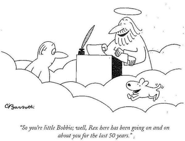 barsotti-dog-heaven.jpg